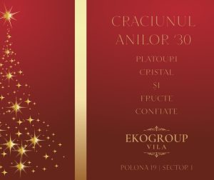 Eko Group Vila: O Călătorie în Eleganța Crăciunului Anilor '30
